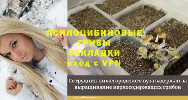 MESCALINE Верея